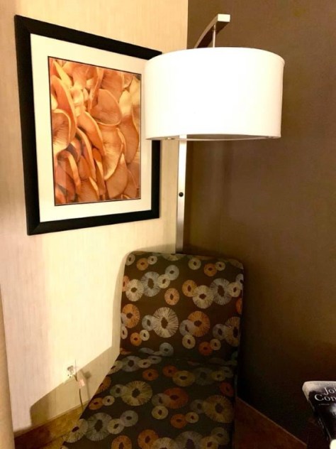 80695155_2652912084763520_7388661582525366272_n