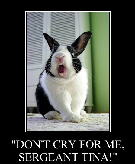 dont-cry-for-me-sergeant-tina