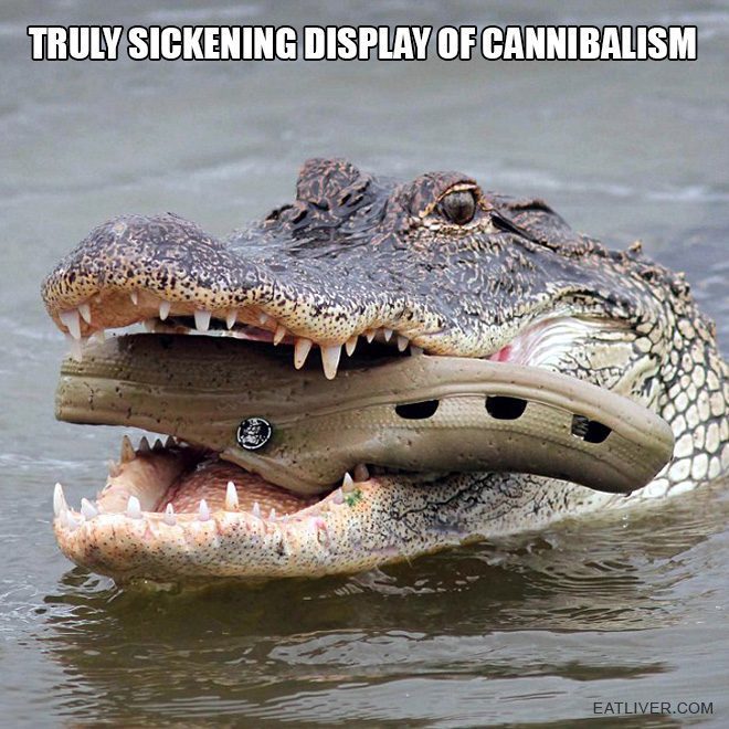 cannibal