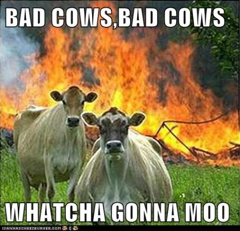 cheezburger-image-6930043648