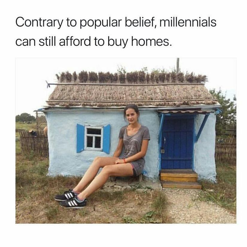 funny-meme-about-millennials-being-able-to-buy-houses-but-they-can-only-buy-small-houses