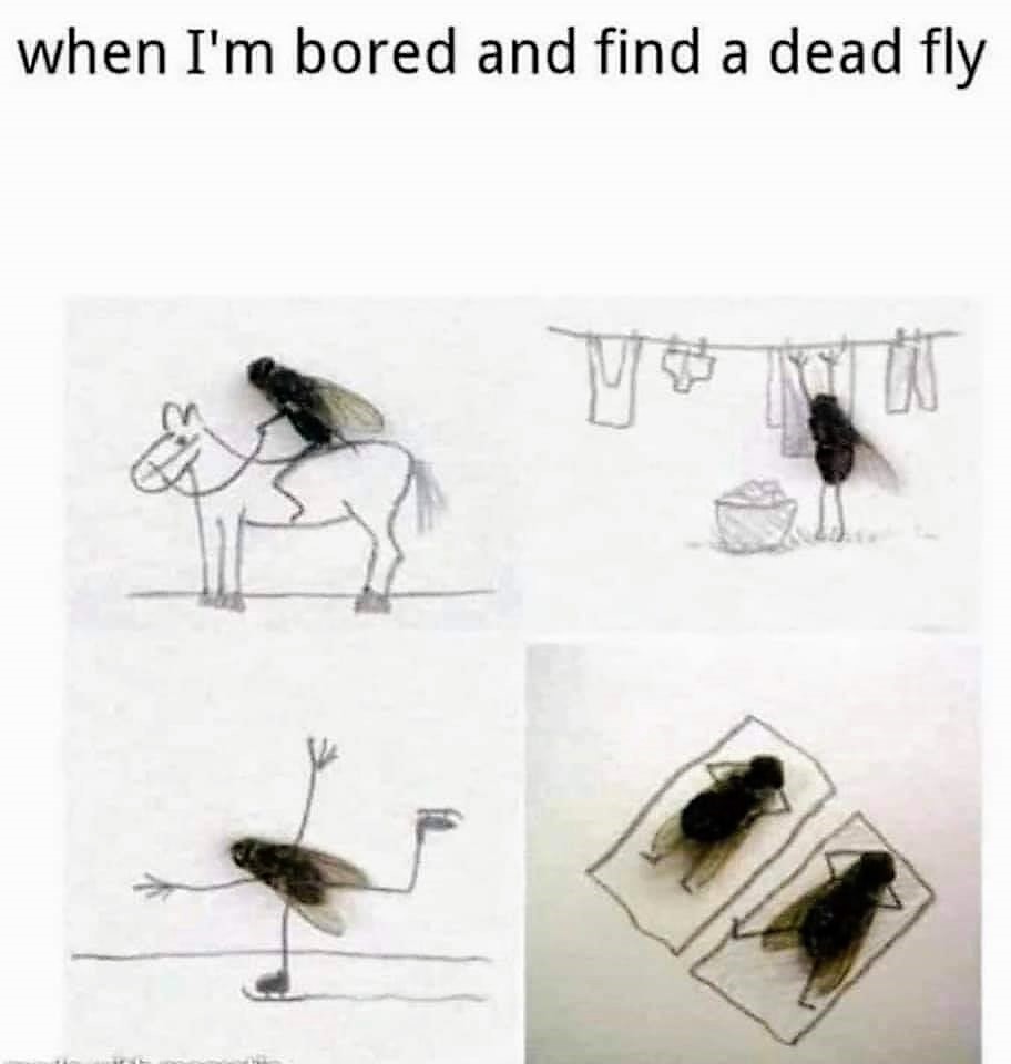 89634840_2951491271578738_6628801504729890816_n