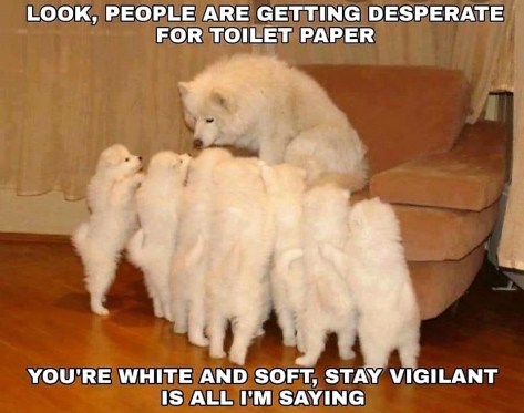 89994878_10101878394993353_13809389303496704_n