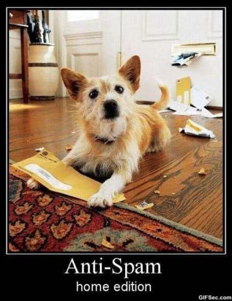 Anti-Spam-MEME_1