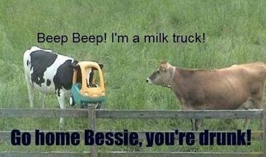 Beep-beep-im-milk-truck-go-home-bessie-youre-drunk-Cow-Meme