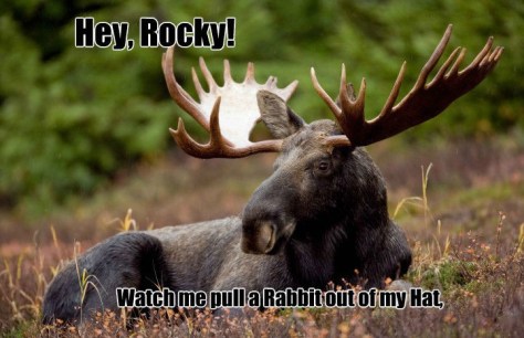 bullwinkle-keeping-it-real_o_508246