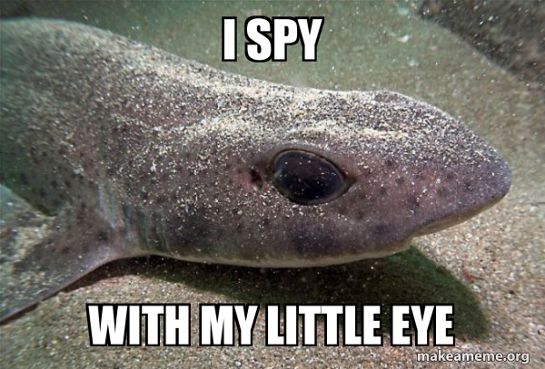 i-spy-with-344e292214