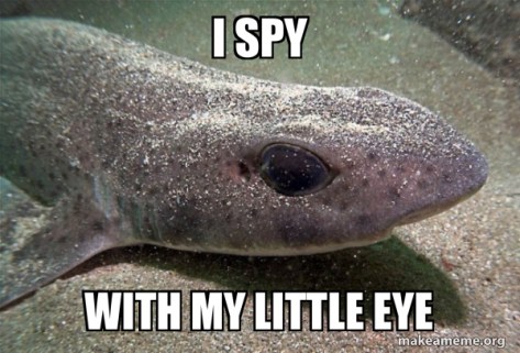 i-spy-with-344e292214