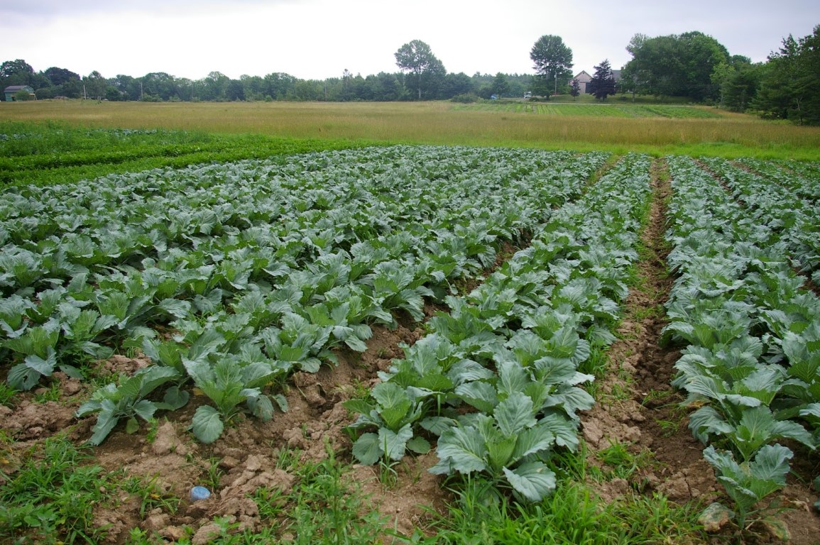 end of july 2014 088