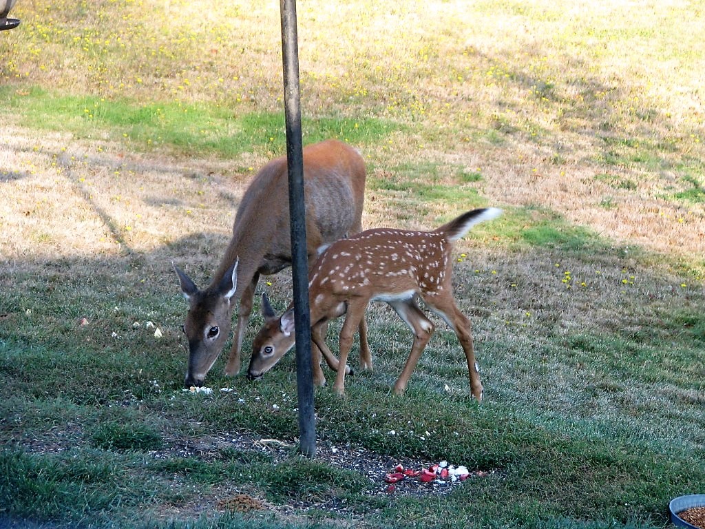 IMG_3392