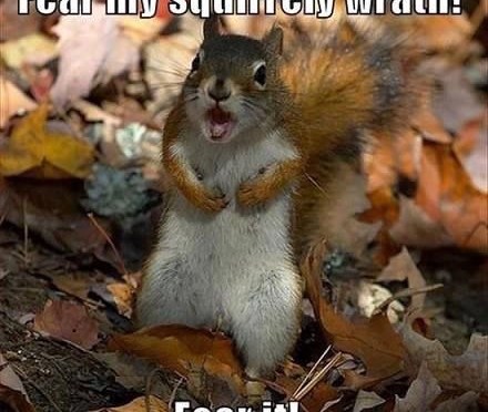 She’s persistent, I’ll give her that.