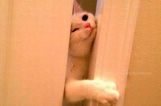 Bathroom products you might need.