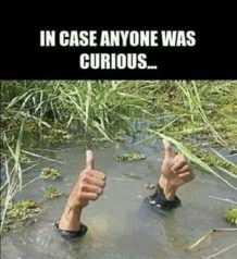 Meanwhile back at the ranch…