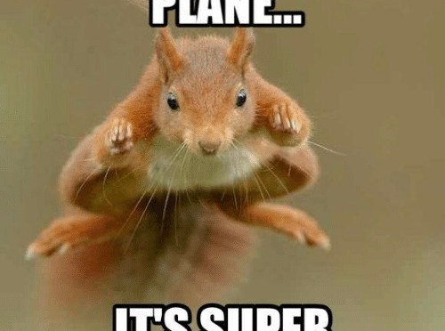 She doesn’t give up.