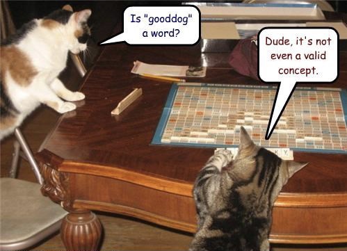 Learn something new everyday.