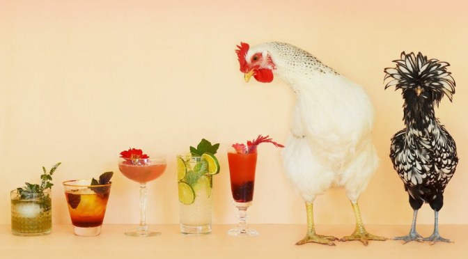 A little out of my league.