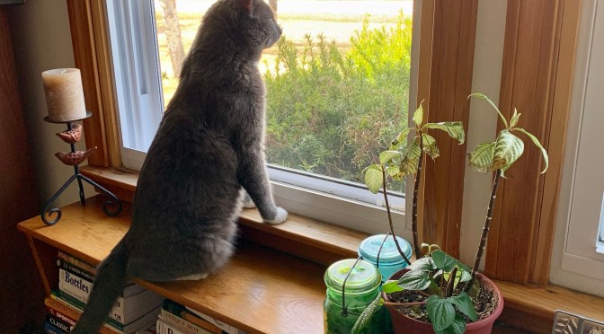 A breath of fresh air.