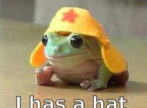 My hat’s off to them.