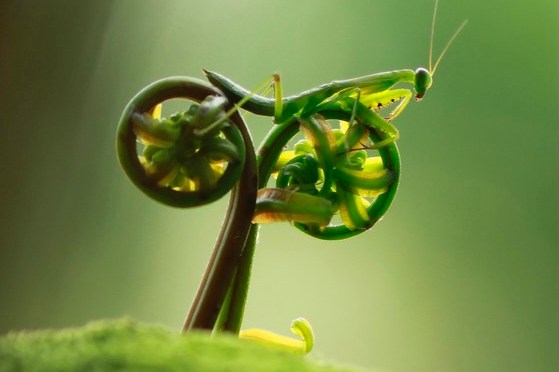 It’s that time of year.