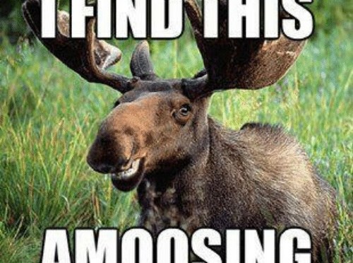 Talk like a Mainer… part two.