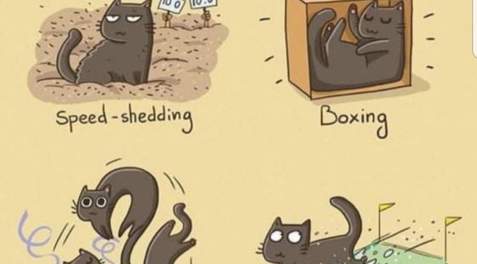 In honor of the Olympics.