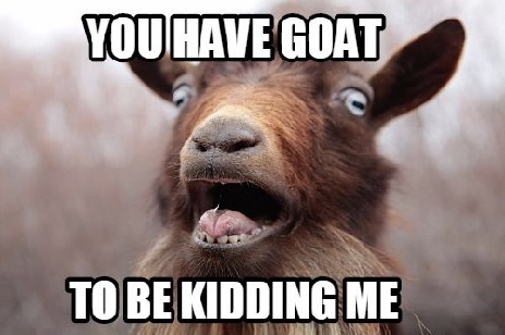 The Screaming Goat quiz