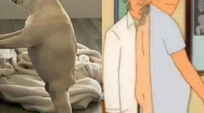 A gift for the posterior challenged man in your life…