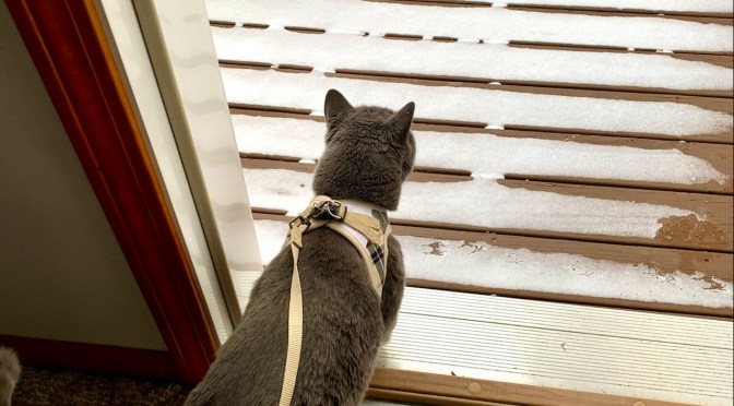 He was not impressed.