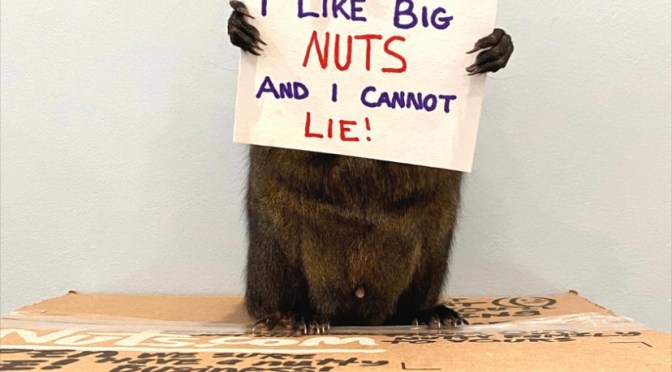 My favorite new algorithm.