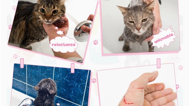 Try it. I dare you…