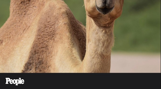 News you can’t use.