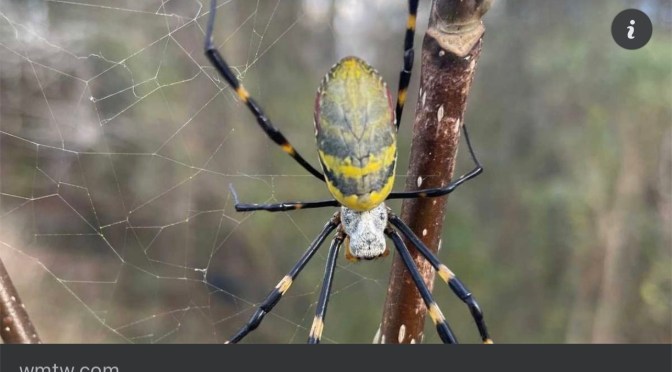 News you can’t use.