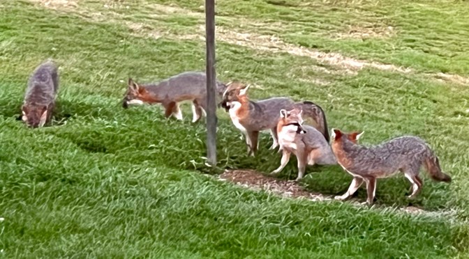 The whole fam damily!
