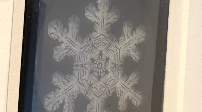 Because I always find weird and quirky places to visit.