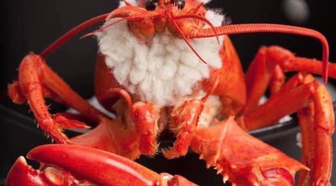 And a merry Ho Ho to you all…