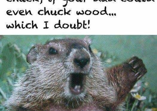 Another reason I love my state..