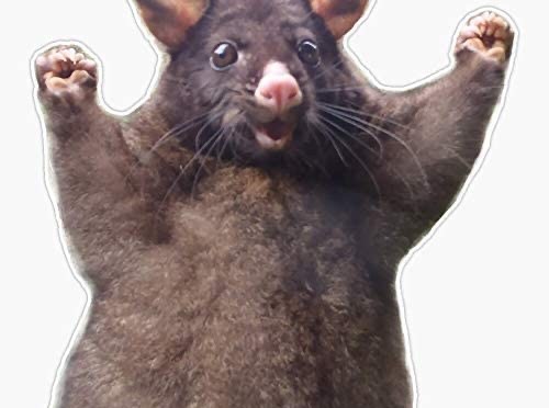 Your dream job awaits….