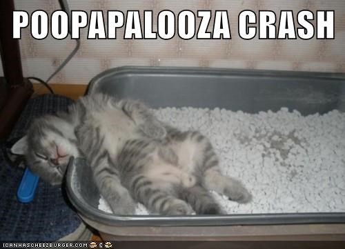 Not my idea of a palooza.