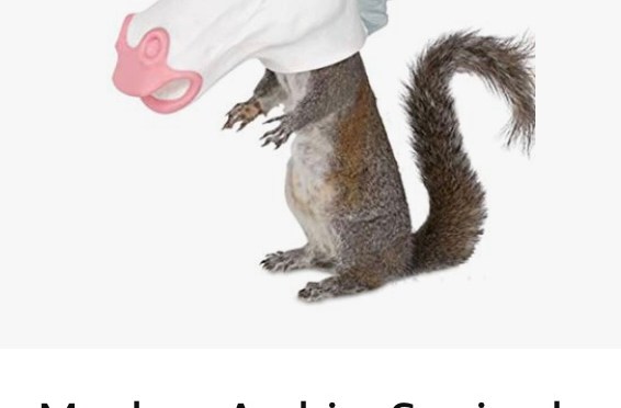 It’s my blog’s fault.