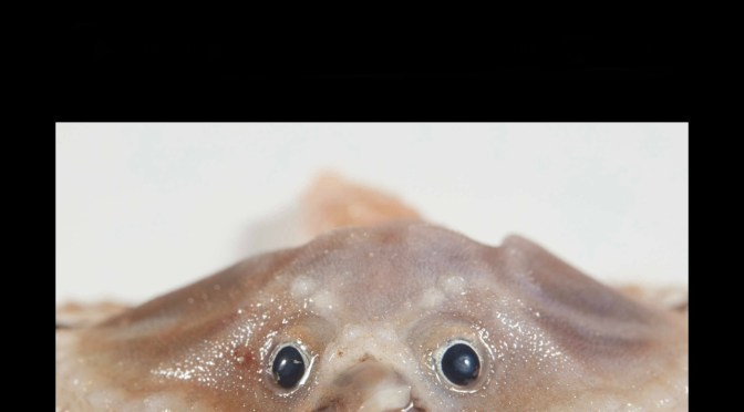 News you can’t use.