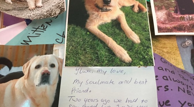 I dare you to watch this without crying.