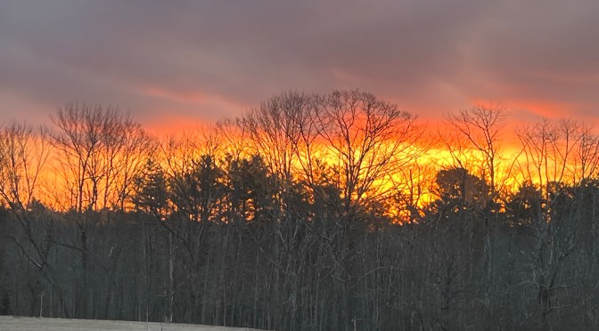 A beautiful way to start the day.