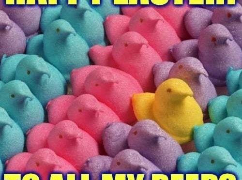 A bunny by any other name…