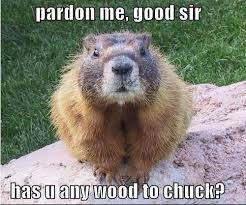 A sure sign of spring.