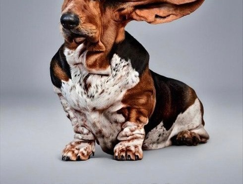 The one where His Lordship battles the wind….