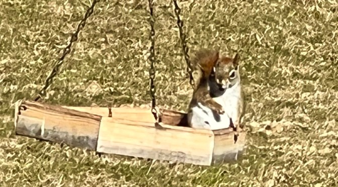 A little training might be in order.