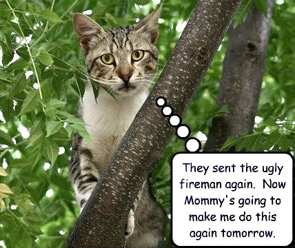 No need for firemen.