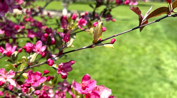 It’s been a long time coming….