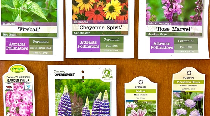 It’s planting time!