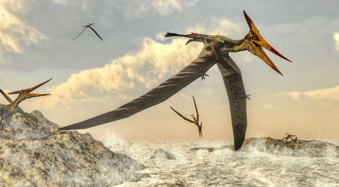 The birds are getting restless….